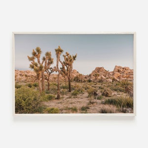Joshua Tree Sunset, Desert Scenery, California Desert Photography, Joshua Tree Scenery, Dry Desert Landscape, California Sunset View
