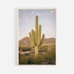 Saguaro-Kaktus mit vielen Armen, Große Saguaro-Wandkunst, Wüstenposter von Arizona, Pflanzenfotografie, Saguaro-Kaktus in trockener Wüste