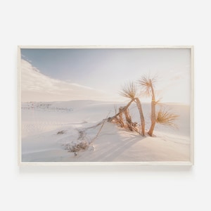 Bohemian Desert Print, White Sand Desert, New Mexico National Park, White Sands Monument, Photography Print, Southwestern Decor, Desert Art