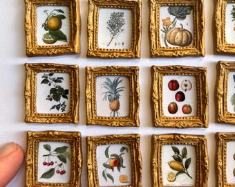 Miniature Framed Food Botanical Artwork for Vintage Dollhouse Decor | Fruits, Vegetables, Herbs for Kitchen Decor