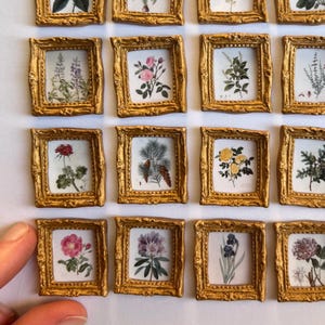May include: A collection of miniature framed botanical prints. Each print features a different floral illustration, set within a gold-colored, ornate frame. The frames are arranged in a grid pattern, showcasing a variety of flowers and plants.