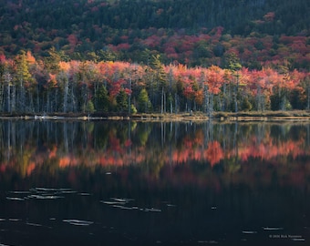 Autumn Reflections, Acadia National Park Fine Art Print