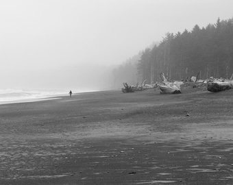 Wandering - Black and White Rialto Beach Print, Olympic National Park Photography, Fine Art Wall Decor