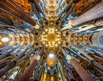 Sagrada Familia Ceiling Print, Barcelona Cathedral Fine Art Photography, Multiple Print Options