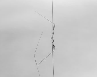 Minimalist Reed Reflection, Acadia National Park Pond Print, Maine Nature Abstract Photography