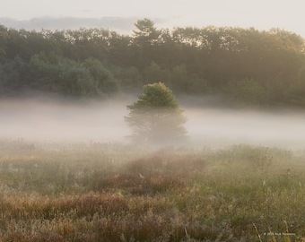 Morning Veil, Maine Fine Art Photography