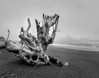 Sculpture – Black and White Rialto Beach Print, Olympic National Park Photography, Fine Art Wall Decor