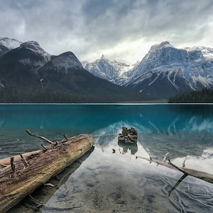 Logs on Emerald Lake | Canadian Rockies | Wall Art Decor | Unframed Prints & MetalPrints | Travel Photography | Multiple Sizes