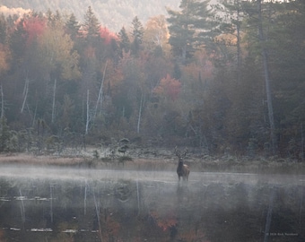 Misty Morning, Baxter State Park Print, Maine Fine Art Photography