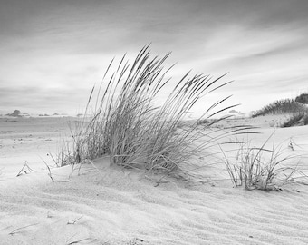 Ocracoke Black and White Coastal  Print, Outer Banks Fine Art Photography