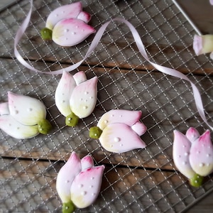 Keksschneider Tulpe