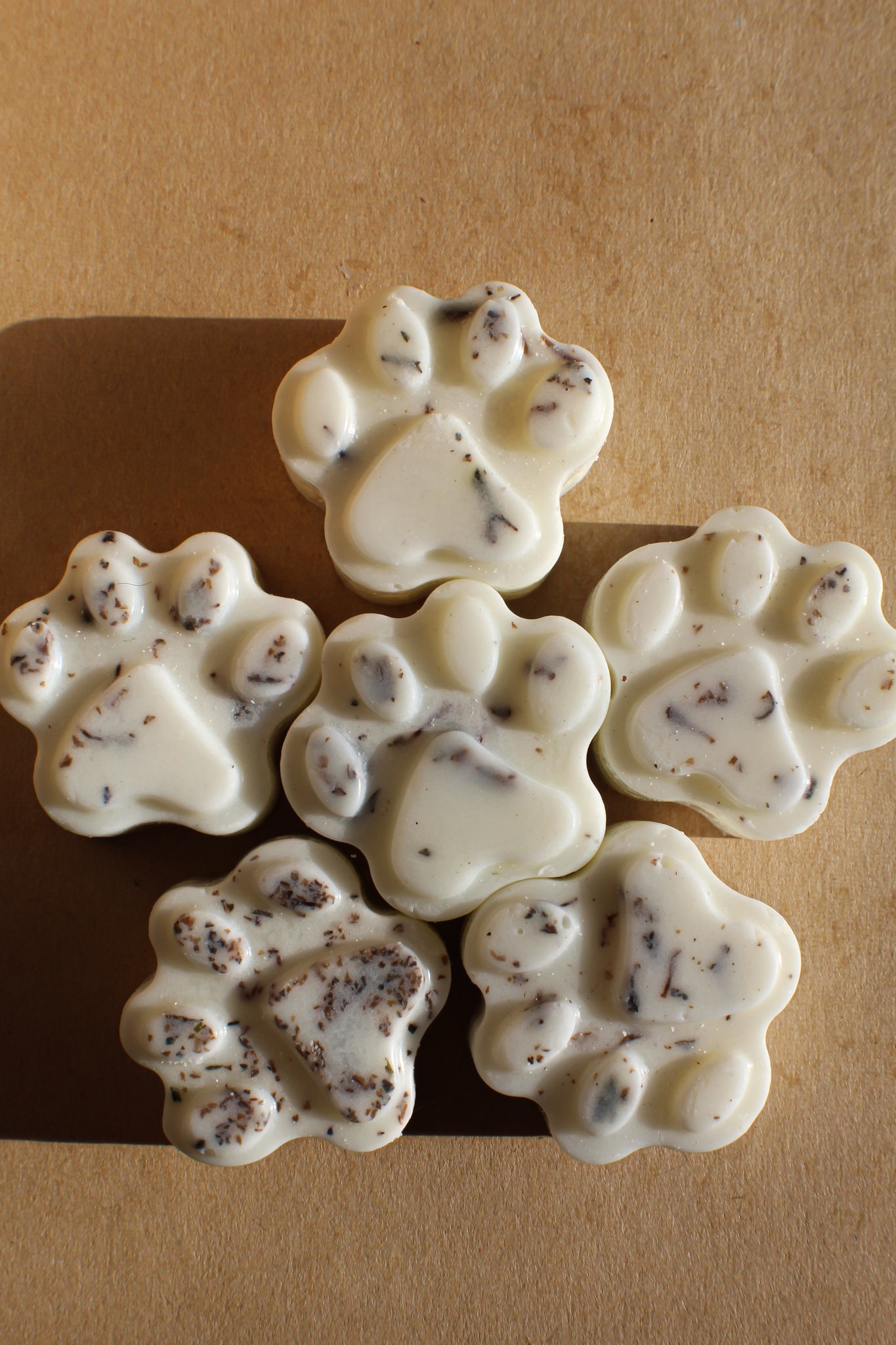 Candles Safe for Cats Etsy