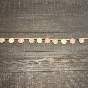Boho Rainbow Monthly Milestones Photo Banner | Boho Muted Rainbow Happy Birthday Banner | Rainbow Birthday Bunting Banner Party Decor