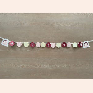 12 Month Milestone Banner, Baby's First Year Month Photos, Monthly Photo Banner, Boho Rainbow Party Banner, First Year Monthly Banner