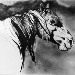 American Mustang I