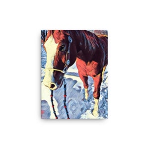 Appaloosa auf Leinwand