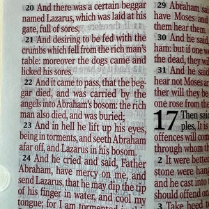 May include: Open Bible pages with text from Luke 16:20-25, in a close-up shot. The text is in a dark red font, with the chapter and verse numbers in bold. The paper is off-white, and the text is clear and easy to read.
