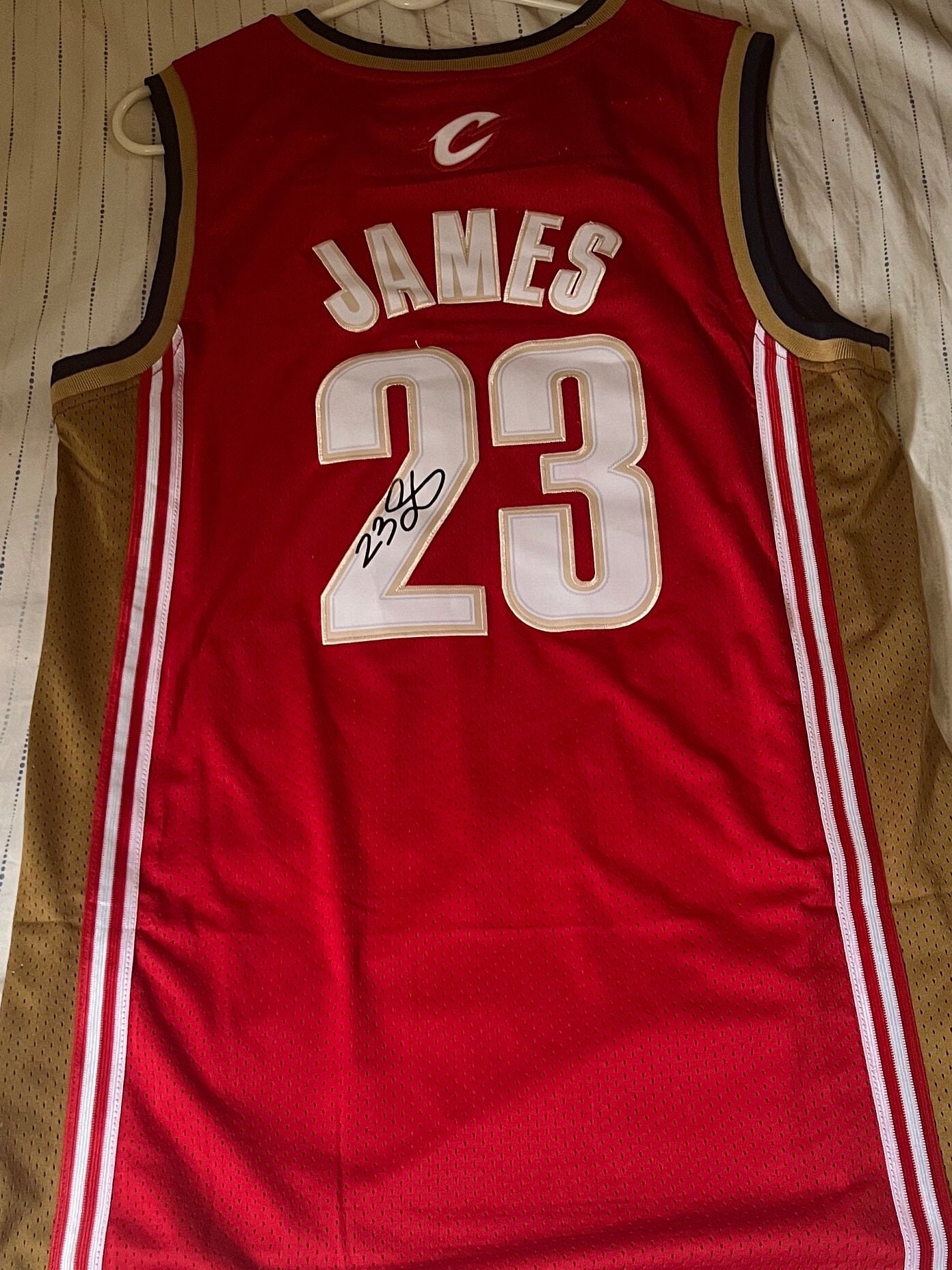LeBron James Cleveland Cavaliers Jersey - XL, king james Finals Glory with autograph