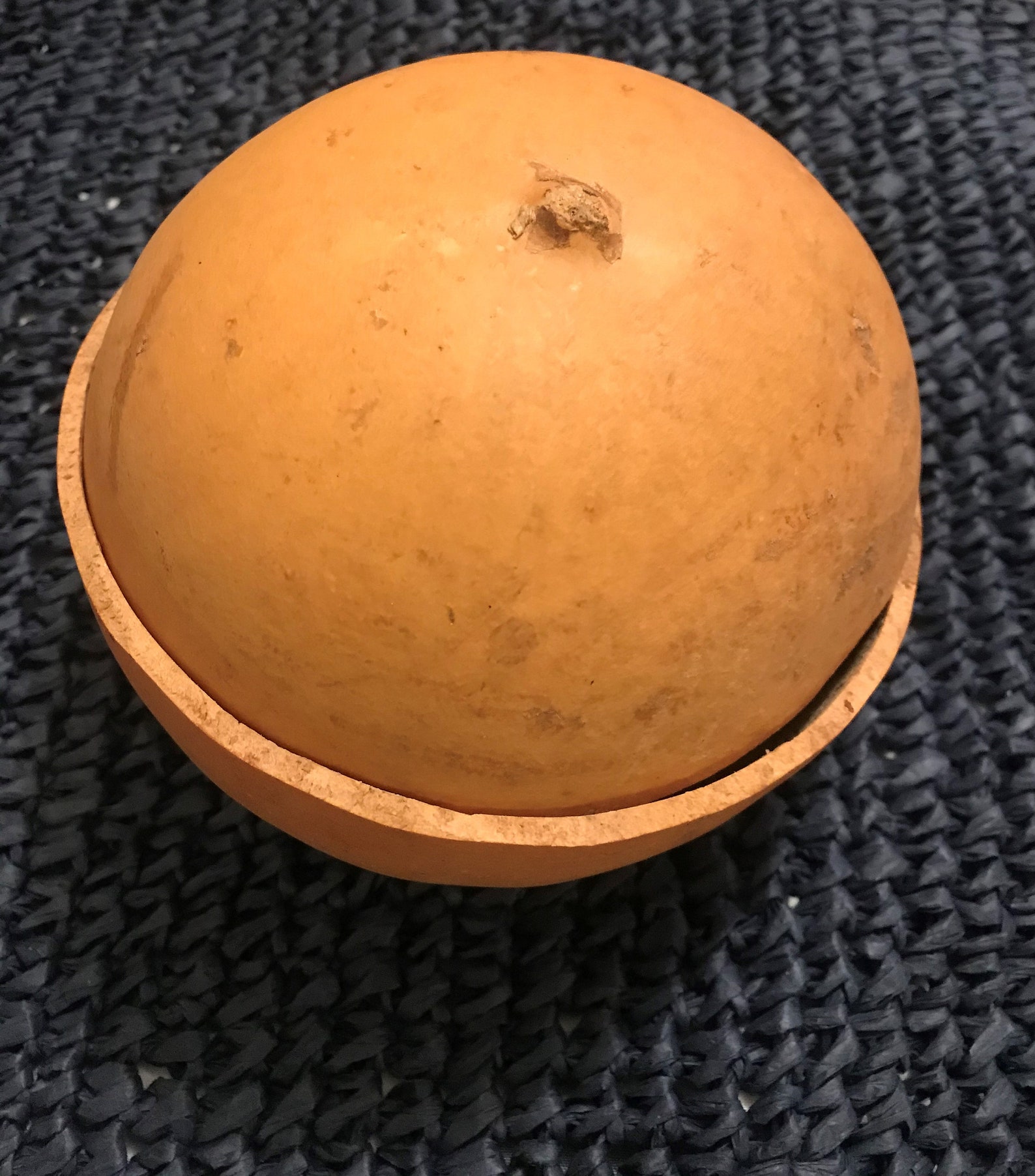 Calabash Set With Lid natural in Its Organic Form. No Etsy