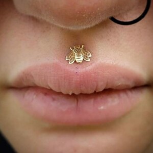 Bee Labret Ear Stud | Medusa |  16g Surgical Steel | Tragus Bar | Helix | Conch | Monroe | Philtrum | Ear Lobe | Lip Piercing