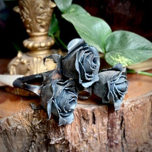 Steel Rose