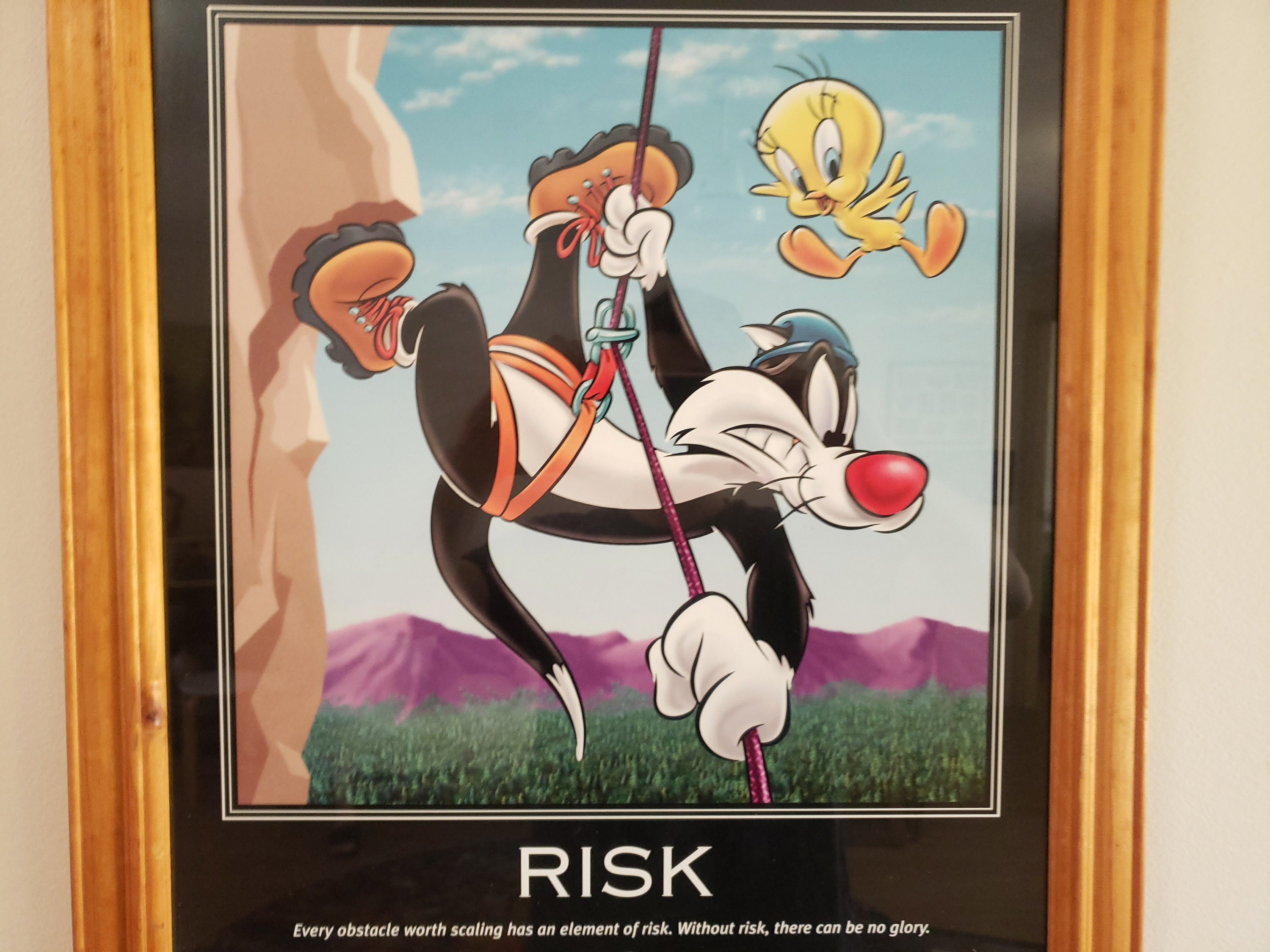 Framed Looney Tunes Motivational Poster 'risk' 1998 in Wood Frame - Etsy