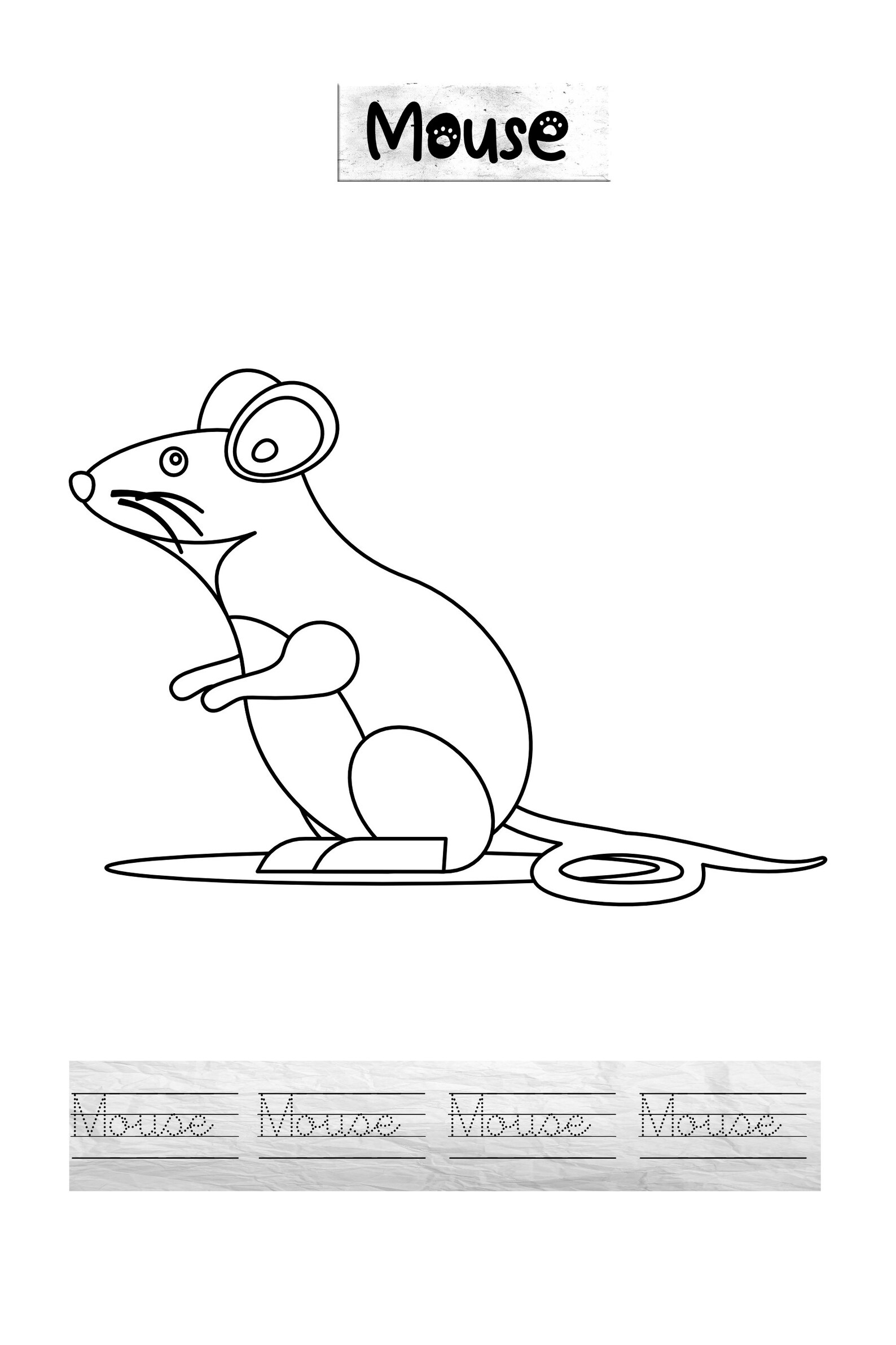 Printable animal colouring pages PDF animal coloring pages | Etsy