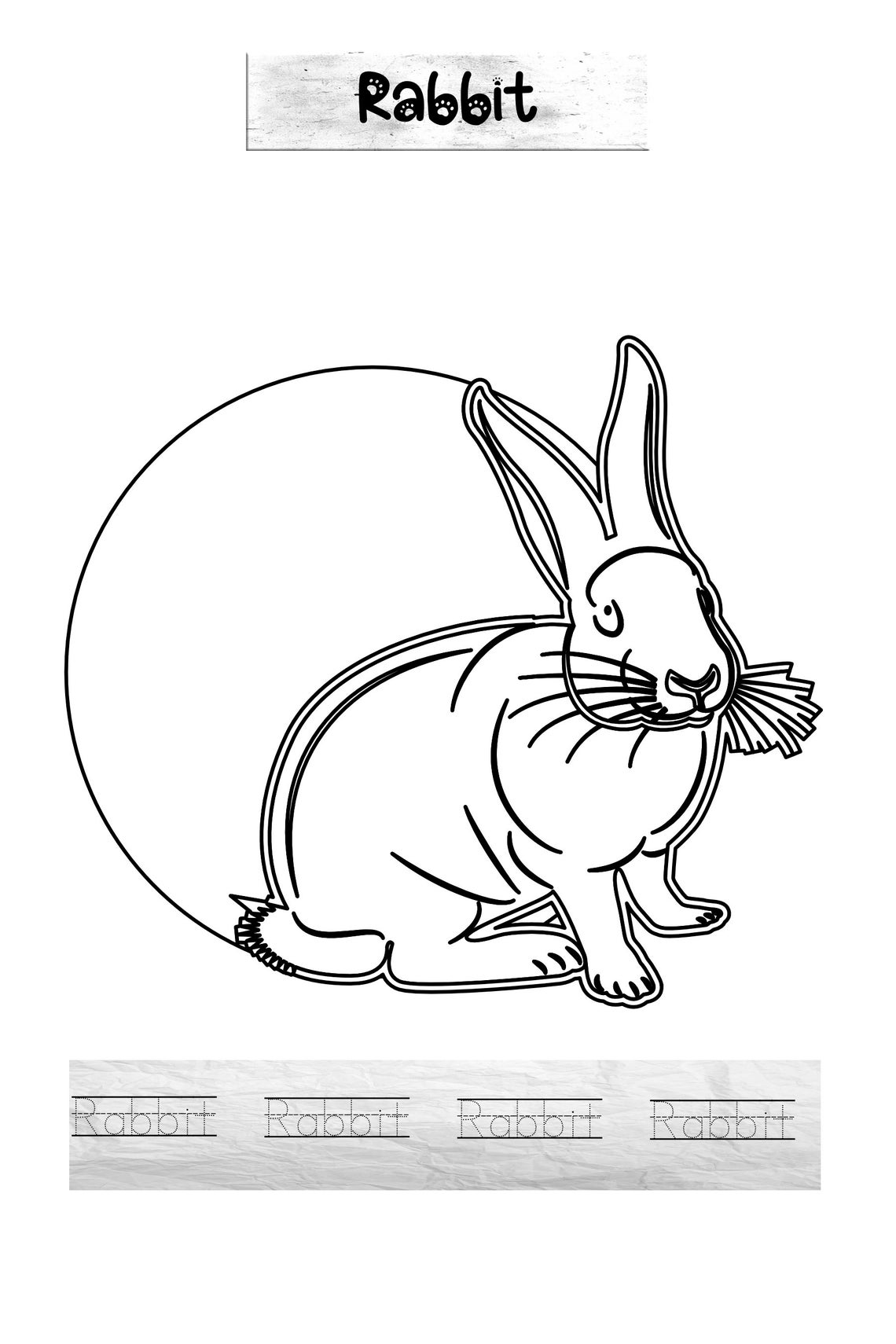 Printable animal colouring pages PDF animal coloring pages | Etsy