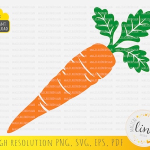 Carrot #2 svg, Hand Drawn Carrot svg, Carrot Vector, Carrot png, Vegetable Clipart, Easter Carrot Eps, Carrot Cut File, Silhouette Cricut