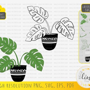 Könnte beinhalten: Ein mehrschichtiges SVG-Design einer Monstera-Pflanze im Topf mit einem schwarz-weiß gemusterten Topf. Das Design ist in hoher Auflösung als PNG, SVG, EPS und PDF verfügbar.