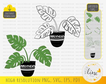 Monstera svg, House Plant clipart, Leaf Stencil, Tropical plant png, Potted plants svg, Gardening paper cut, Cricut Silhouette, Home decor