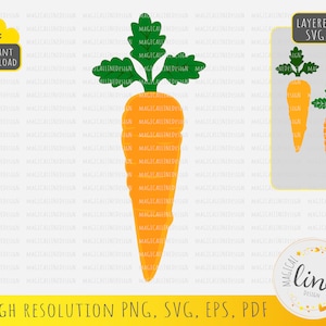 Carrot svg, Hand Drawn Carrot svg, Carrot Vector, Carrot png, Vegetable Clipart, Easter Carrot Eps, Carrot Cut File, Silhouette Cricut