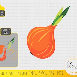 Onion Svg, Vegetables Vector, Hand Drawn Onion Eps, Kitchen Clipart, Vegetable Cut File, Onion Cut File, Farm Svg, Silhouette Cricut