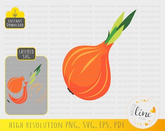 Onion Svg, Vegetables Vector, Hand Drawn Onion Eps, Kitchen Clipart, Vegetable Cut File, Onion Cut File, Farm Svg, Silhouette Cricut