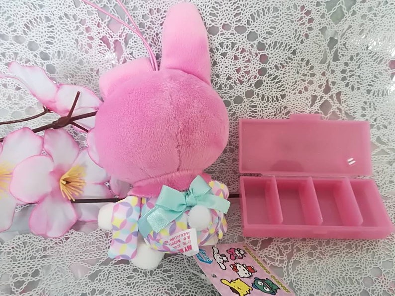 Collection Kawaii Only One Available Sanrio My Melody and Plastic Case From Japan