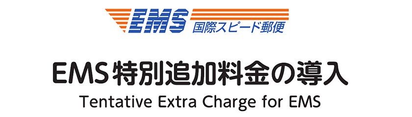 Ems Express Mail Tracking Included Etsy