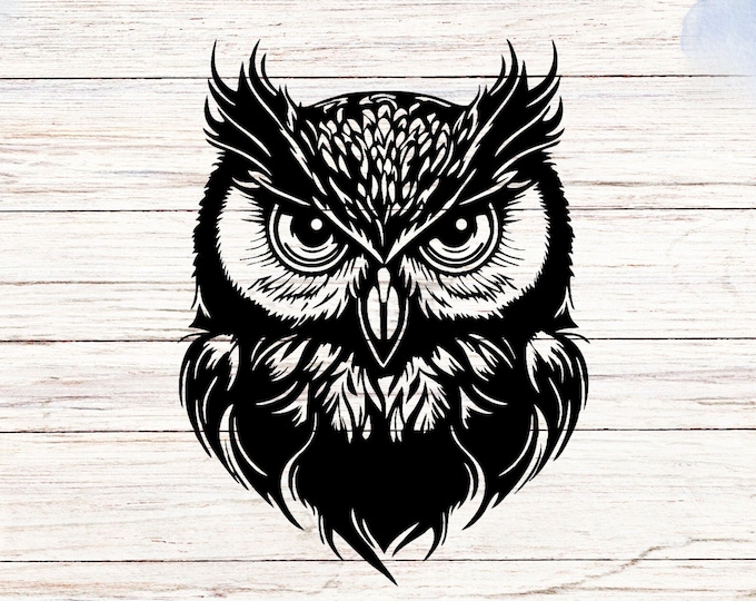 Owl Head Vinyl Decal Sticker: Car, Laptop, Mirror Decor