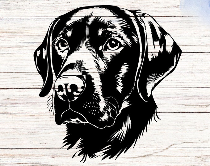 Labrador dog decal sticker, Perfect for cars vans trucks and more, multiple sizes and colours, special gift for him and her, laptop mirrors