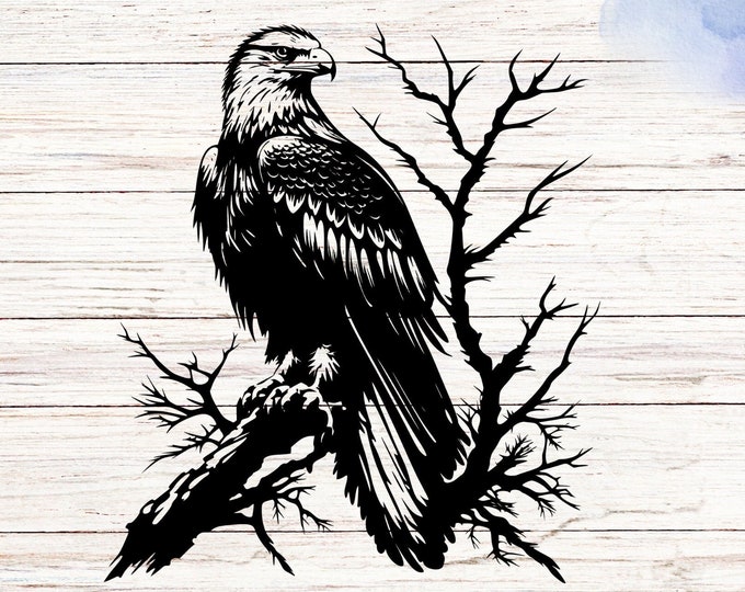 Eagle vinyl decal sticker, Perfect for cars vans trucks and more, multiple sizes and colours, special gift for him and her, laptop mirrors