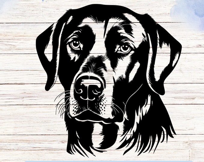 Labrador Retriever Vinyl Decal: Car, Van, Truck Sticker