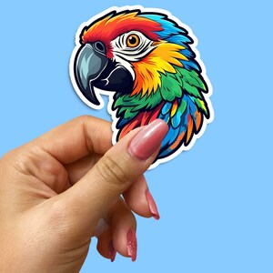 Puede incluir: Una pegatina colorida de la cabeza de un loro con plumas rojas, naranjas, amarillas, verdes y azules.
