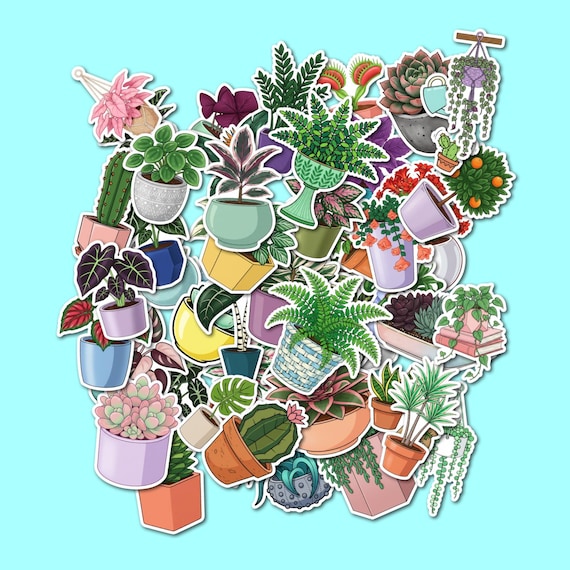 Mini Houseplant Sticker Pack – Waterproof Vinyl Plant Mom Gift