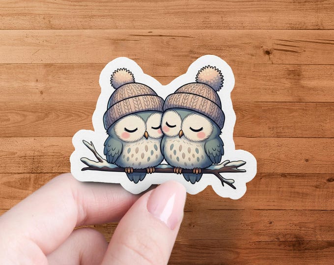 Owl Couple Glossy Die-Cut Sticker Cozy Winter Illustration Kawaii Animal Art Laptop Decor Gift