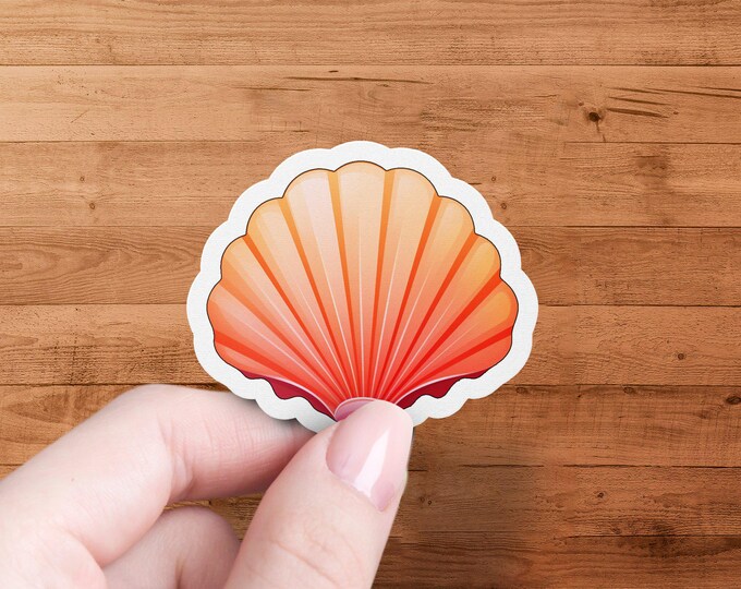 Seashell Sticker, Beach Theme Sticker, Ocean Inspired Sticker, Waterproof Sticker, Laptop Decal, Water Bottle Sticker, Shell Decor