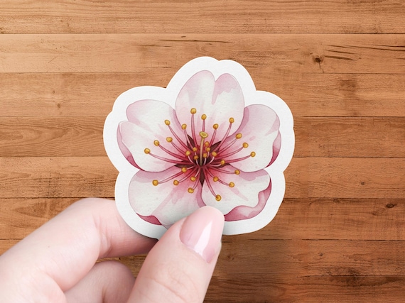 Glossy Sakura Blossom Die Cut Sticker Floral Decal for Laptop and Journal