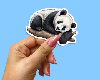 Cute Panda Sleeping on Log - Premium Vinyl Sticker for Laptops, Notebooks & More - Unique Animal Design Decal