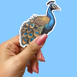 Pegatina de pavo real, real y colorida, calcomanía de pájaro vibrante y única, pegatina para computadora portátil, pegatina de botella de agua, regalo para amantes de los animales, pegatina del planificador