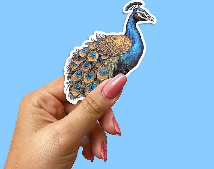 Peacock Sticker: Regal Colorful Bird Decal, Animal Lover Gift