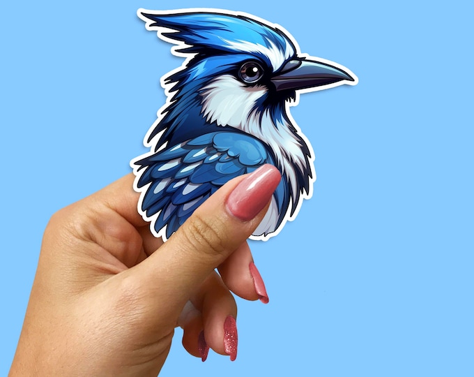 Blue Jay Sticker: Waterproof Bird Decal for Laptops & Phones
