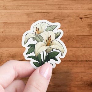 Sticker élégant fleur de lys blanc, illustration botanique, sticker imperméable, décoration pour ordinateur portable, sticker art floral, cadeau pour les amateurs de plantes